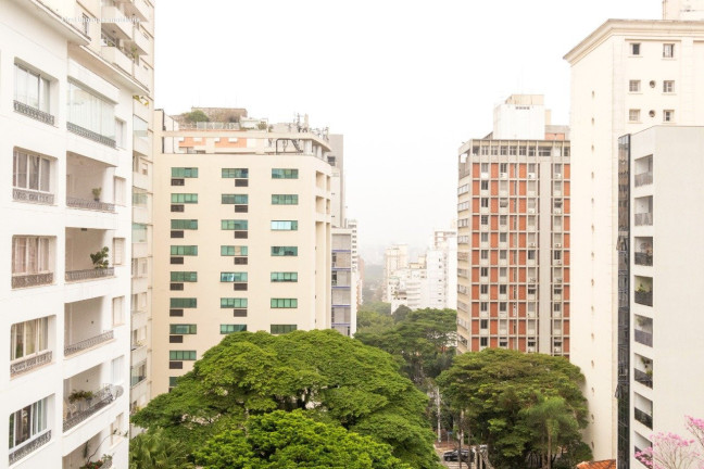 Imagem Apartamento com 3 Quartos à Venda, 175 m² em Jardim Paulista - São Paulo Imagem Apartamento com 3 Quartos à Venda, 175 m² em Jardim Paulista - São Paulo
