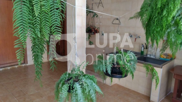 Imagem Casa com 3 Quartos à Venda, 214 m² em Jardim Santa Mena - Guarulhos Imagem Casa com 3 Quartos à Venda, 214 m² em Jardim Santa Mena - Guarulhos
