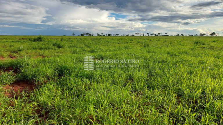 Imagem Imóvel à Venda, 22 m² em Centro - Prata Imagem Imóvel à Venda, 22 m² em Centro - Prata