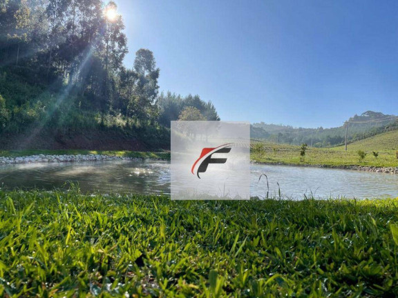 Imagem Chácara com 2 Quartos à Venda, 28.000 m² em Bacaetava - Colombo