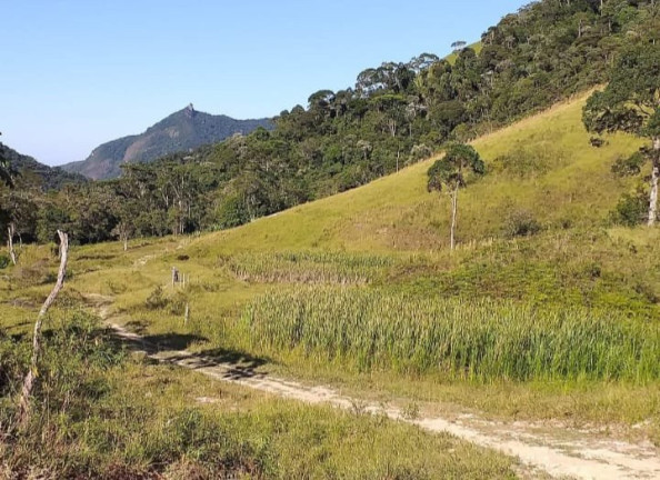 Imagem Fazenda à Venda, 726.000 m² em Tomba - Feira De Santana Imagem Fazenda à Venda, 726.000 m² em Tomba - Feira De Santana
