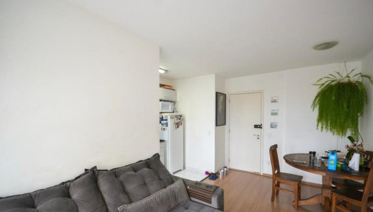Imagem Apartamento com 2 Quartos à Venda, 50 m² em Cambuci - São Paulo Imagem Apartamento com 2 Quartos à Venda, 50 m² em Cambuci - São Paulo