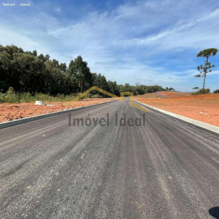 Imagem Terreno à Venda, 230 m² em Costeira - Araucária