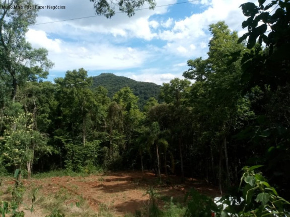 Imagem Terreno à Venda, 3 m² em Linha Pirajá Alta - Nova Petrópolis