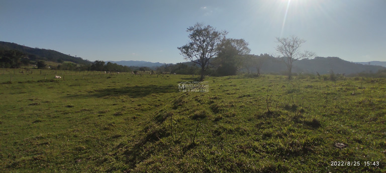 Imagem Imóvel à Venda, em Fernandes - São João Batista Sc Imagem Imóvel à Venda, em Fernandes - São João Batista Sc