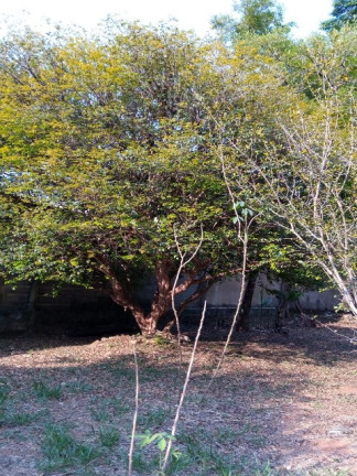 Imagem Chácara com 2 Quartos para Alugar ou Temporada, 1.512 m² em Jardim Tarantela - Jundiaí Imagem Chácara com 2 Quartos para Alugar ou Temporada, 1.512 m² em Jardim Tarantela - Jundiaí