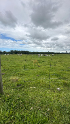 Terreno à Venda,  em Ressacada - Garopaba