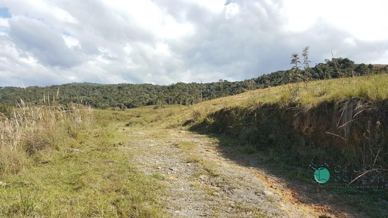 Imagem Terreno à Venda, 450.000 m² em Zona Rural - Bom Retiro Imagem Terreno à Venda, 450.000 m² em Zona Rural - Bom Retiro