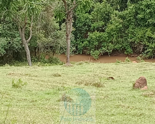 Imagem Imóvel com 2 Quartos à Venda, 150.000 m² em Rural - Jacuí Imagem Imóvel com 2 Quartos à Venda, 150.000 m² em Rural - Jacuí
