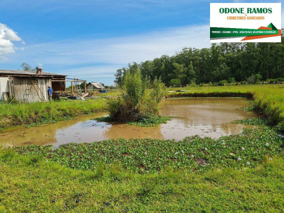 Chácara com 3 Quartos à Venda, 24.000 m² em Capão Do Padre - Caju - Nova Santa Rita