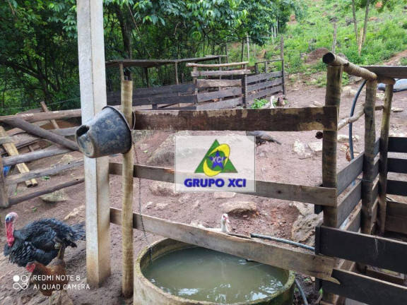Imagem Fazenda à Venda, 70 m² em Cava - Pouso Alegre Imagem Fazenda à Venda, 70 m² em Cava - Pouso Alegre