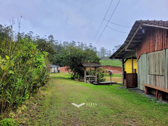 Imagem Chácara à Venda, 24.900 m² em Três Rios Do Norte - Jaraguá Do Sul