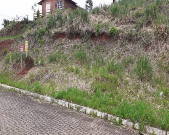 Imagem Imóvel à Venda, 455 m² em Piá - Nova Petrópolis