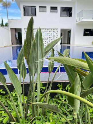 Imagem Casa com 4 Quartos à Venda, 800 m² em Outeiro Da Glória - Porto Seguro Imagem Casa com 4 Quartos à Venda, 800 m² em Outeiro Da Glória - Porto Seguro