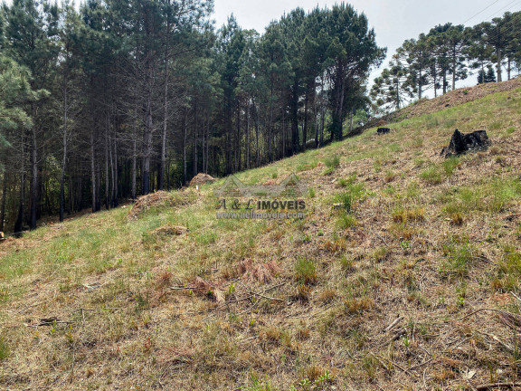 Imagem Terreno à Venda, 1 m² em Vale Encantado - Campos Do Jordão Imagem Terreno à Venda, 1 m² em Vale Encantado - Campos Do Jordão