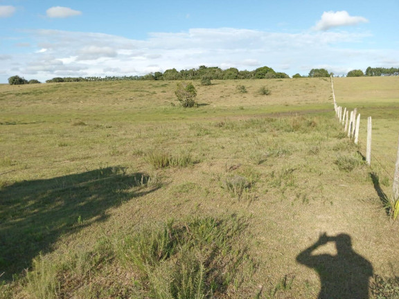 Imagem Chácara à Venda, 60.000 m² em Capão Da Porteira - Viamão Imagem Chácara à Venda, 60.000 m² em Capão Da Porteira - Viamão
