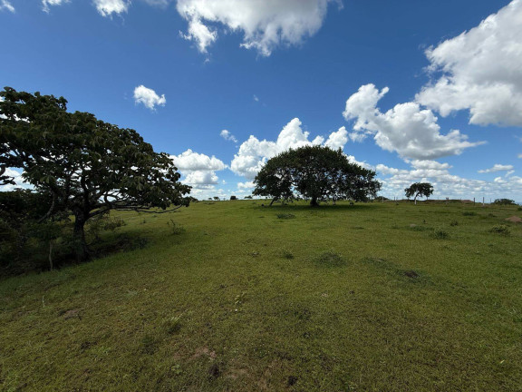 Imagem Fazenda à Venda, em Bom Jardim De Goiás Imagem Fazenda à Venda, em Bom Jardim De Goiás