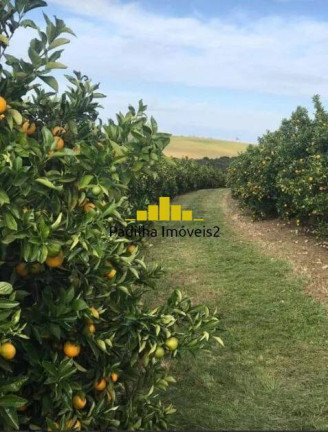 Imagem Chácara à Venda, 350 m² em Marília Imagem Chácara à Venda, 350 m² em Marília