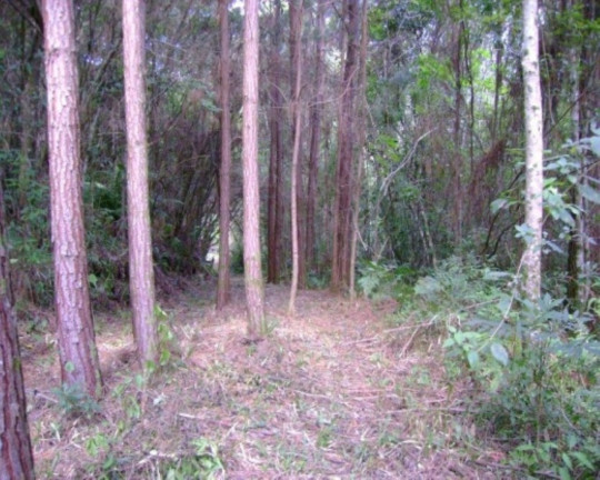 Terreno à Venda, 3 m² em Vale Verde - Nova Petrópolis