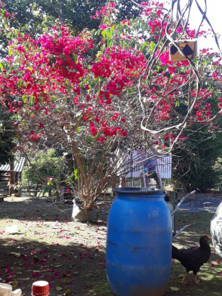 Imagem Imóvel à Venda, em São José Dos Campos Imagem Imóvel à Venda, em São José Dos Campos