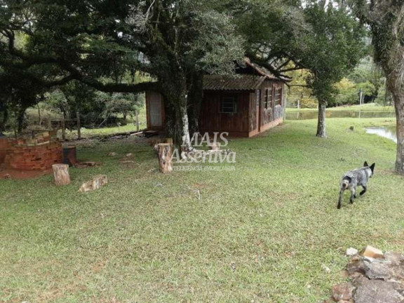 Imagem Imóvel com 3 Quartos à Venda, 176 m² em Boa Vista - São Francisco De Paula Imagem Imóvel com 3 Quartos à Venda, 176 m² em Boa Vista - São Francisco De Paula