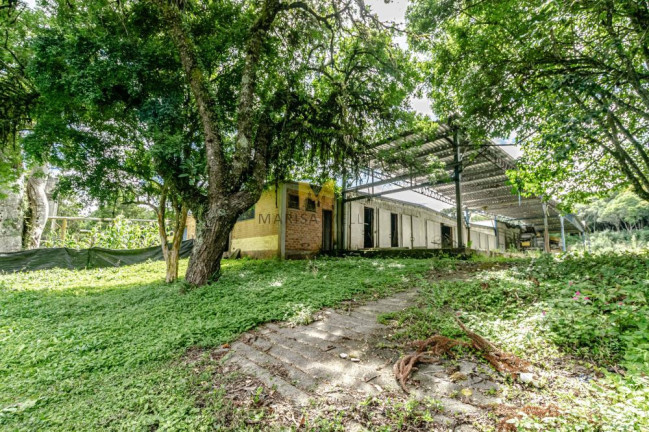 Imagem Chácara com 2 Quartos à Venda, 107 m² em Capoeira Dos Dinos - Piraquara