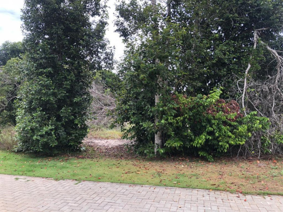 Imagem Terreno à Venda, 700 m² em Praia Do Forte - Mata De São João Imagem Terreno à Venda, 700 m² em Praia Do Forte - Mata De São João