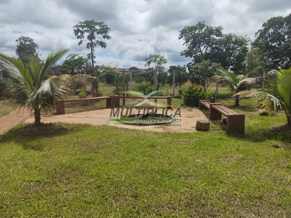 Imagem Chácara com 3 Quartos à Venda, 200 m² em Centro - Uberlândia