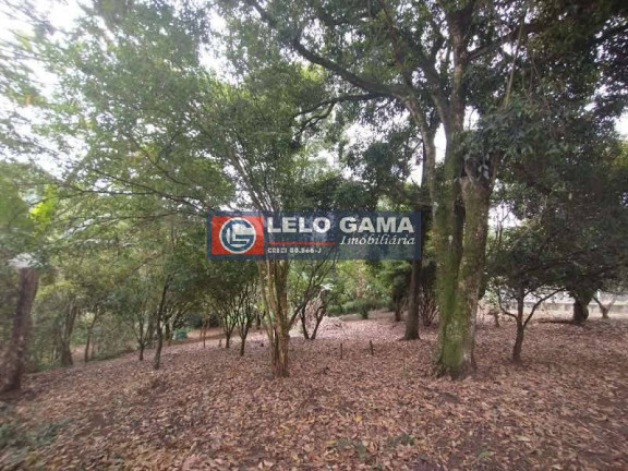 Imagem Terreno à Venda, 3 m² em Maria Mercedes - Santana De Parnaíba Imagem Terreno à Venda, 3 m² em Maria Mercedes - Santana De Parnaíba