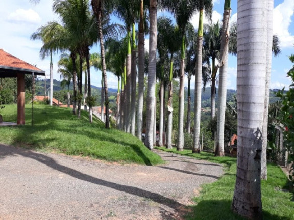 Imagem Imóvel com 3 Quartos à Venda, 500 m² em Chácaras Santo Antonio Do Jardim - Jaguariúna Imagem Imóvel com 3 Quartos à Venda, 500 m² em Chácaras Santo Antonio Do Jardim - Jaguariúna