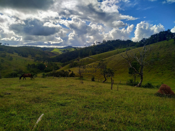 Imagem Terreno à Venda, 19.000 m² em Jardim - Cunha Imagem Terreno à Venda, 19.000 m² em Jardim - Cunha