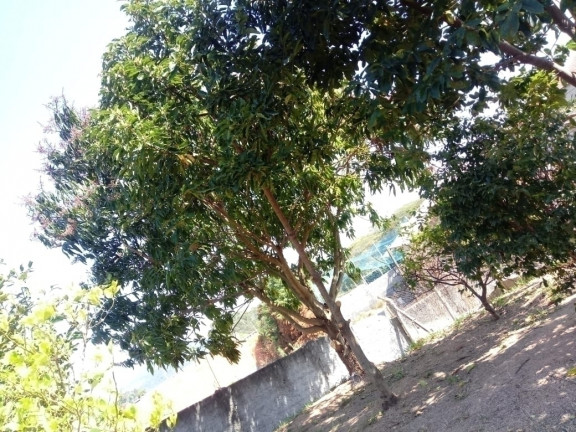 Imagem Casa com 1 Quarto à Venda, 1.000 m² em Cafezal Dois - Itupeva Imagem Casa com 1 Quarto à Venda, 1.000 m² em Cafezal Dois - Itupeva