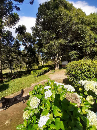 Imagem Chácara com 3 Quartos à Venda, 220 m² em Centro - Sapucaí-mirim Imagem Chácara com 3 Quartos à Venda, 220 m² em Centro - Sapucaí-mirim