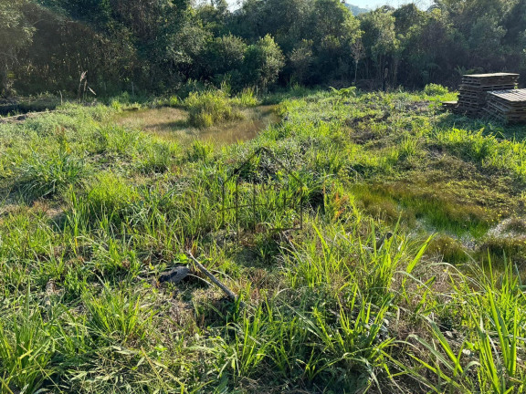Imagem Terreno à Venda, 1.000 m² em Verava - Ibiúna