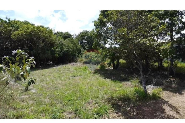 Imagem Terreno à Venda, 450 m² em Vila Comercial Dendezeiros - Mata De São João Imagem Terreno à Venda, 450 m² em Vila Comercial Dendezeiros - Mata De São João