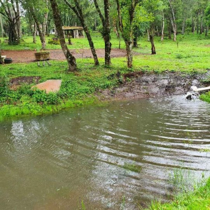 Imagem Imóvel com 3 Quartos à Venda,  em Tijucas Do Sul - Tijucas Do Sul