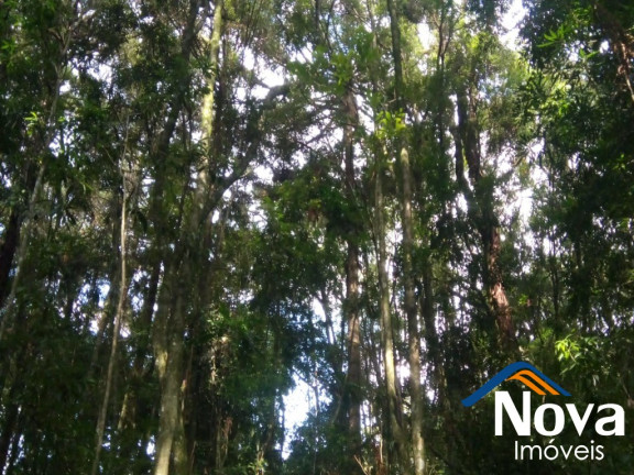 Imagem Imóvel à Venda, em Nove Colônias - Nova Petrópolis Imagem Imóvel à Venda, em Nove Colônias - Nova Petrópolis
