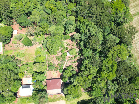 Imagem Chácara com 3 Quartos à Venda, 5.000 m² em Coqueiral - Cascavel Imagem Chácara com 3 Quartos à Venda, 5.000 m² em Coqueiral - Cascavel