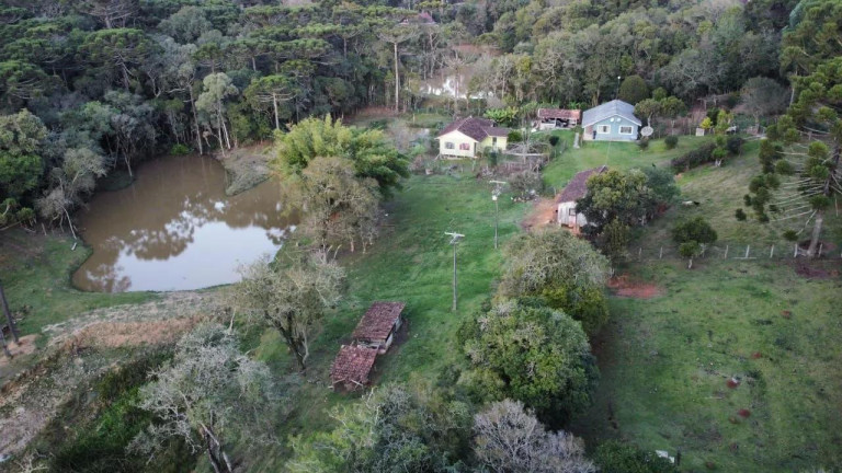 Imagem Imóvel com 5 Quartos à Venda, 48.000 m² em São João Do Caiva - Lapa Imagem Imóvel com 5 Quartos à Venda, 48.000 m² em São João Do Caiva - Lapa