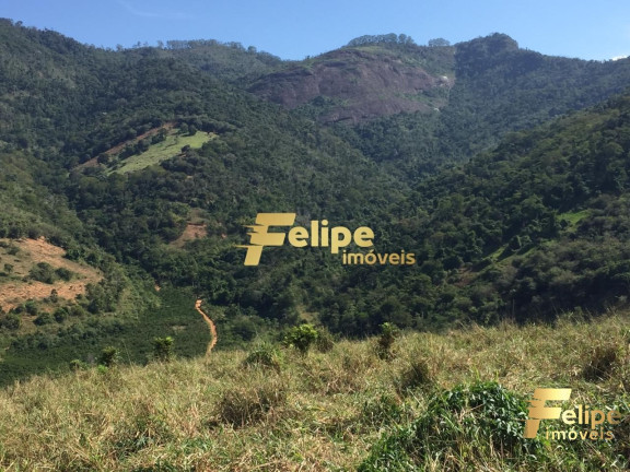 Imagem Imóvel com 1 Quarto à Venda, 55 m² em área Rural De Colatina - Colatina