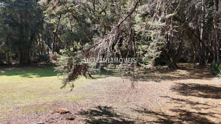 Imagem Terreno à Venda, 1.110 m² em Região De Capivari - Campos Do Jordão Imagem Terreno à Venda, 1.110 m² em Região De Capivari - Campos Do Jordão