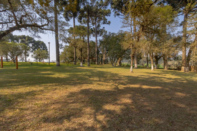 Imagem Imóvel com 4 Quartos à Venda, 37.906 m² em Ouro Verde - Campo Largo