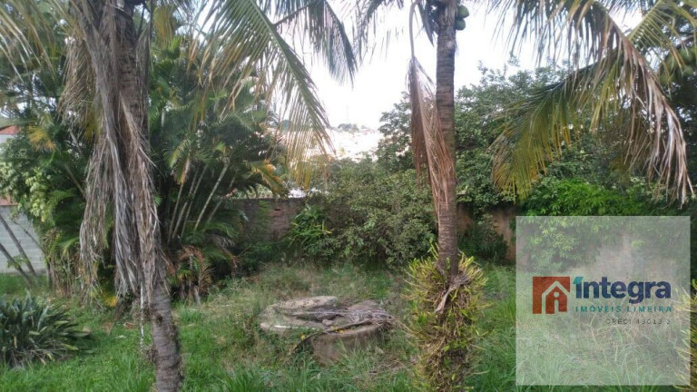Imagem Casa com 3 Quartos à Venda, 300 m² em Jardim Colonial - Limeira