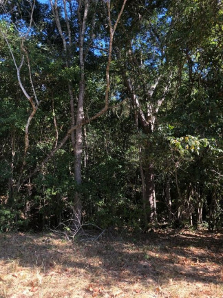 Imagem Fazenda à Venda, 229.899 m² em Centro - Córrego Do Ouro Imagem Fazenda à Venda, 229.899 m² em Centro - Córrego Do Ouro