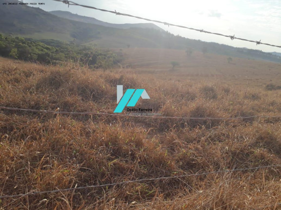 Imagem Fazenda à Venda, 314 m² em Zona Rural - Passa Tempo Imagem Fazenda à Venda, 314 m² em Zona Rural - Passa Tempo