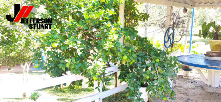 Imagem Chácara com 4 Quartos à Venda, 4 m² em Pinhal Velho - Lorena