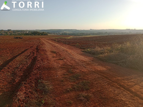 Imagem Imóvel à Venda, 1.452.000 m² em Centro - Aracoiaba Da Serra Imagem Imóvel à Venda, 1.452.000 m² em Centro - Aracoiaba Da Serra