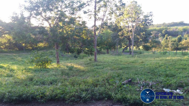 Imagem Chácara à Venda, 5 m² em Zona Rural - Santa Cruz De Goiás Imagem Chácara à Venda, 5 m² em Zona Rural - Santa Cruz De Goiás