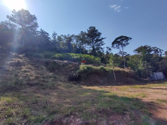 Imagem Fazenda à Venda, 38.892 m² em Fazenda De Fora - Biguaçu Imagem Fazenda à Venda, 38.892 m² em Fazenda De Fora - Biguaçu