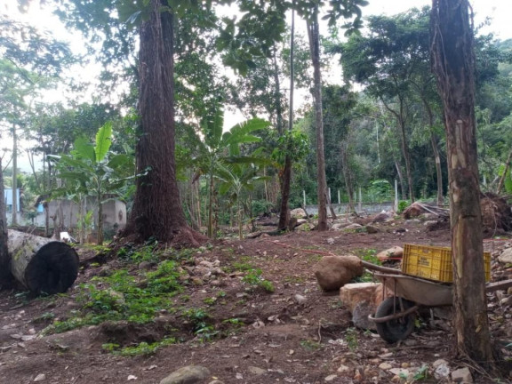 Imagem Imóvel à Venda, 3.000 m² em Campo Grande - Rio De Janeiro Imagem Imóvel à Venda, 3.000 m² em Campo Grande - Rio De Janeiro